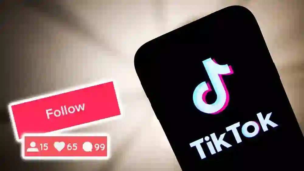 TikTok Follower