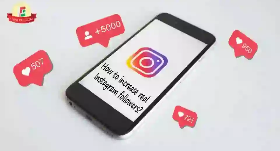 followers in Instagram