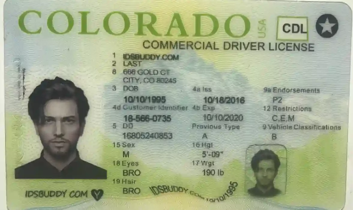 Best Fake ID Websites