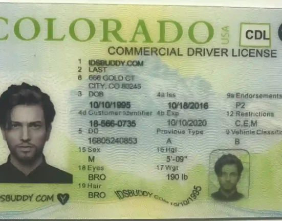 Best Fake ID Websites