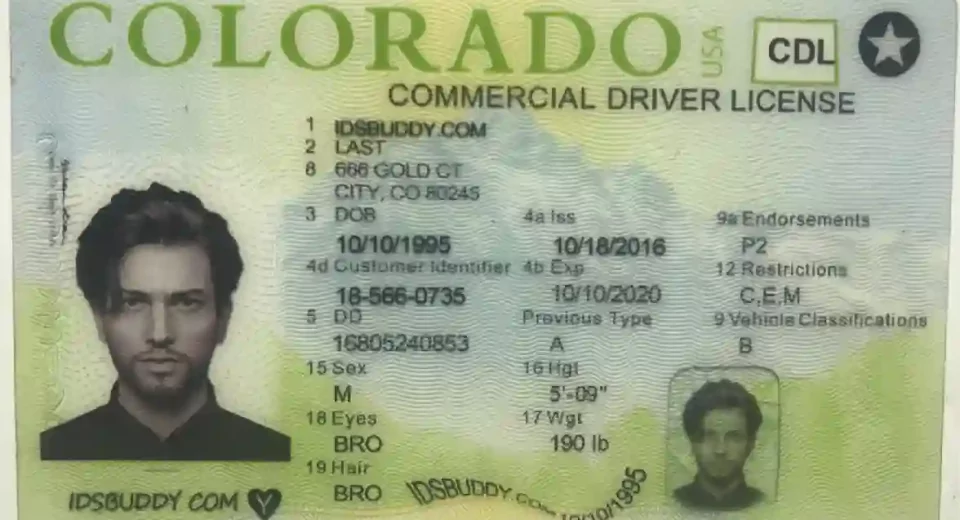 Best Fake ID Websites