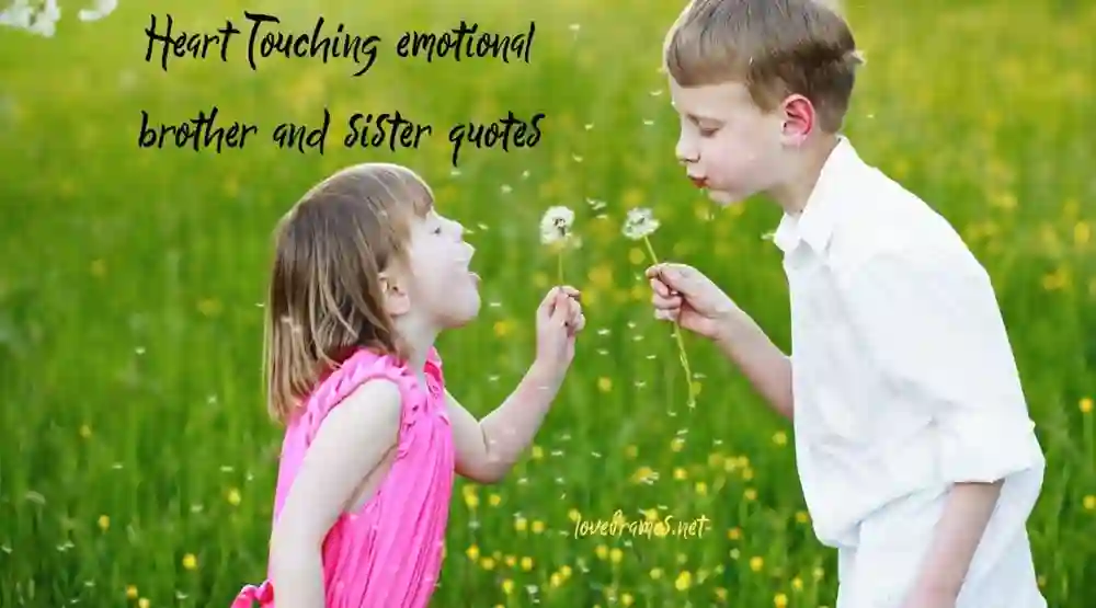 Heart Touching Brother Quotes